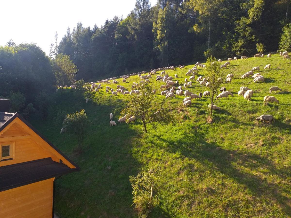 Domek Pod Groniem Mizerna Luaran gambar