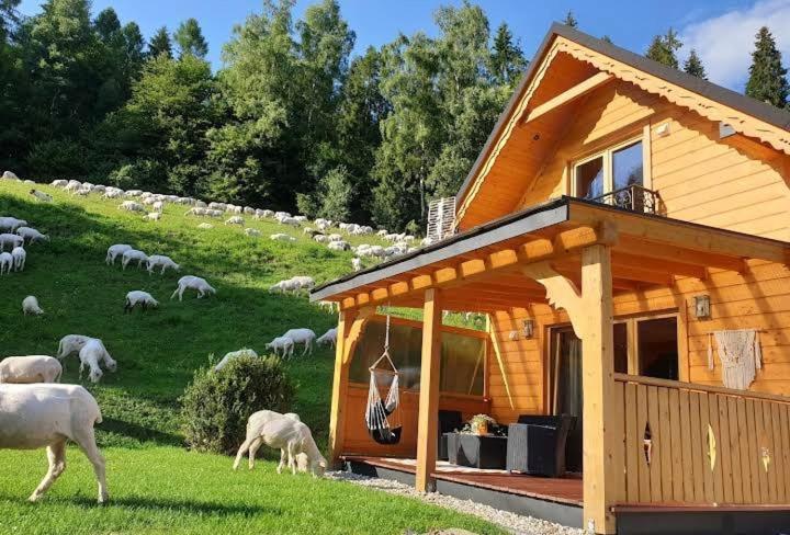 Domek Pod Groniem Mizerna Luaran gambar